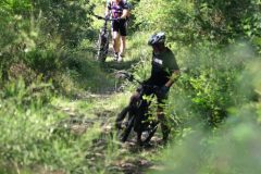 La Gergovienne : douloureuse à la Serre