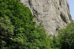 Gergovienne-47